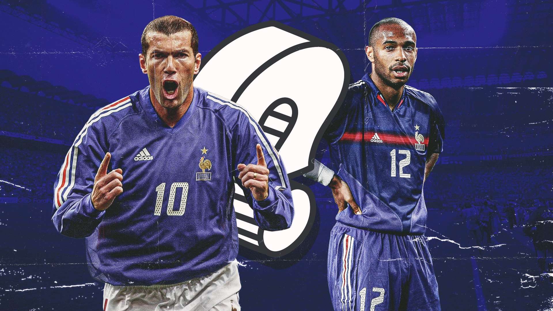 一个全面的 一个全面的