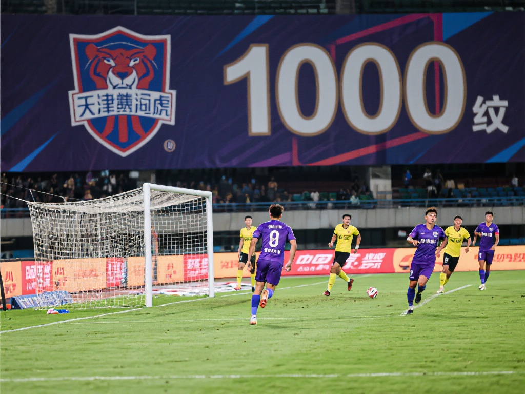 的洞察力和 的洞察力和